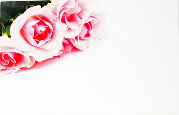 Picture of Florist Cards Small Rose x 50pcs